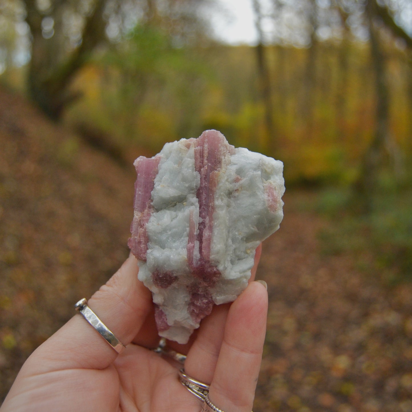 Rubellite in Albite (Pink Tourmaline)