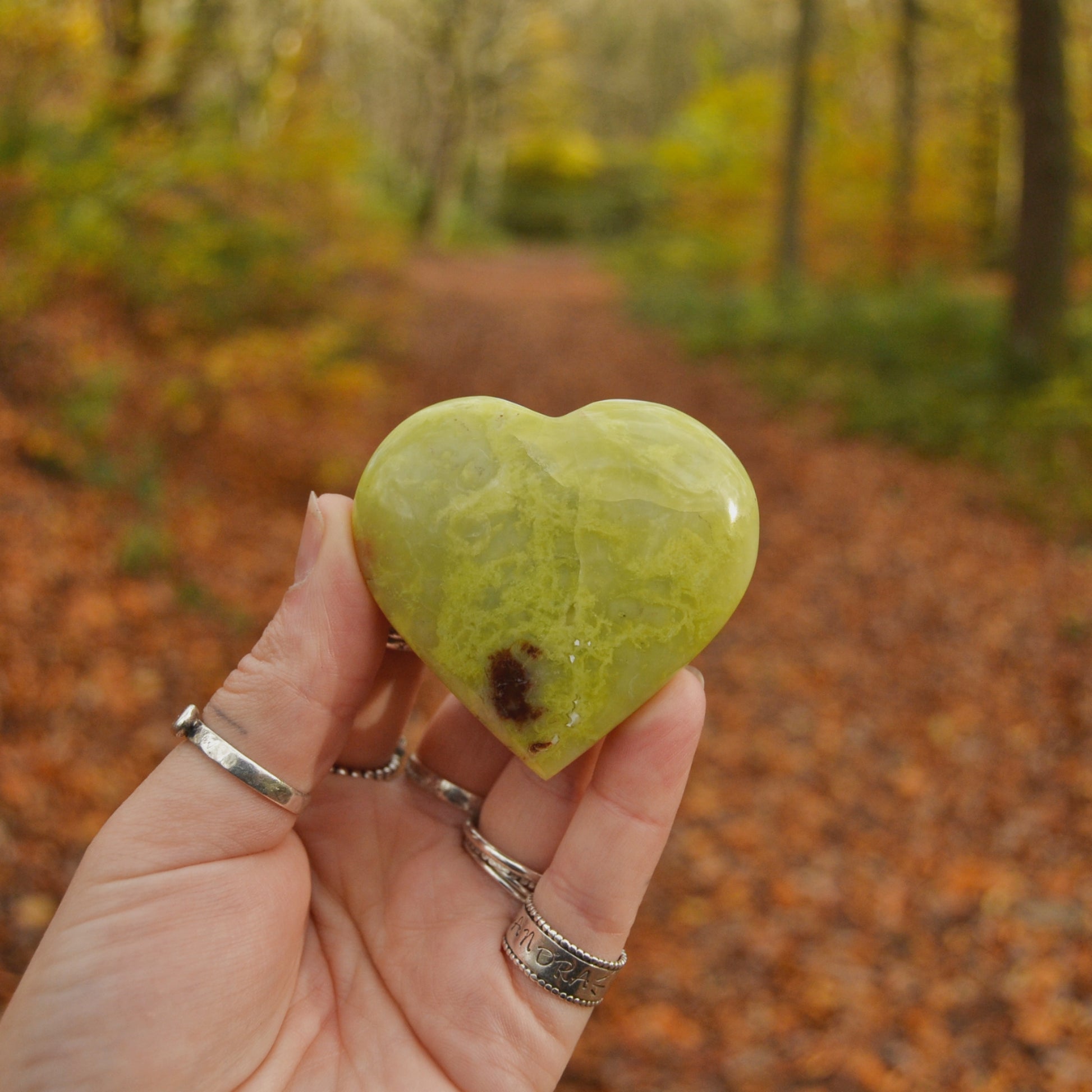 Hand holding a polished green serpentine crystal heart against an autumn forest background. The heart-shaped stone features natural marbling and earthy inclusions, with a glossy finish.






