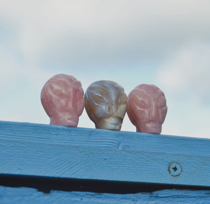 Rose Quartz and Carnelian crystal alien head