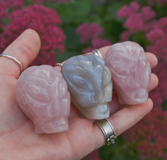 Hand holding three crystal alien head carvings made from rose quartz and carnelian. The two rose quartz carvings have soft pink hues, while the carnelian alien head displays a blend of grey, orange, and translucent tones. Each carving features polished surfaces and extraterrestrial-inspired facial details. The background shows pink flowers and greenery.

